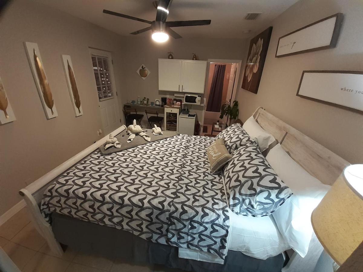 Luxurious Cozy Studio. 탬파 외부 사진